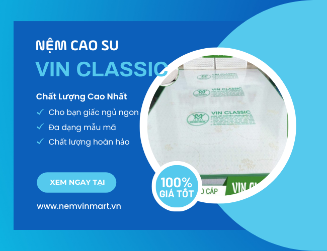 Nệm cao su Vin Classic