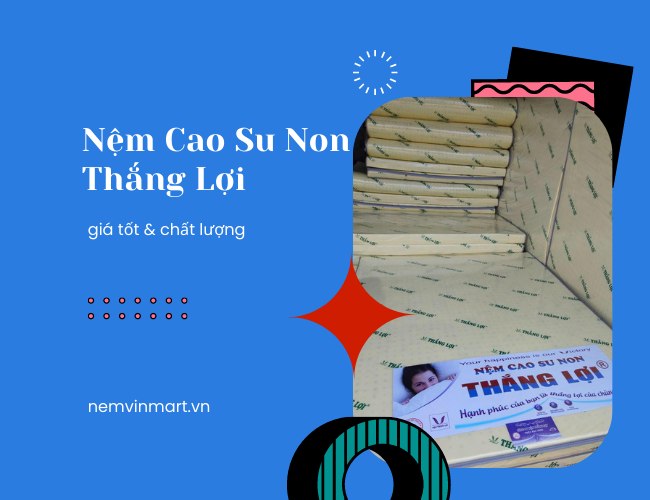 nệm cao su non Thắng Lợi giá rẻ