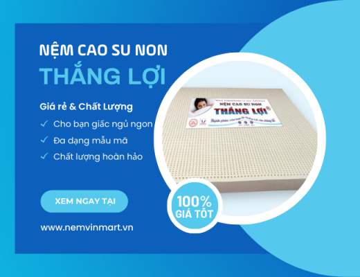 nệm cao su non Thắng Lợi giá rẻ