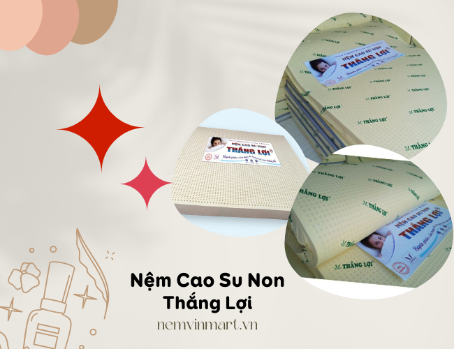 nệm cao su non Thắng Lợi