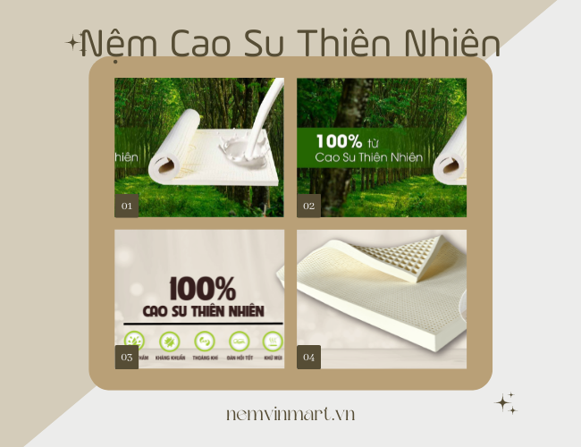 nệm cao su thiên nhiên quận 4